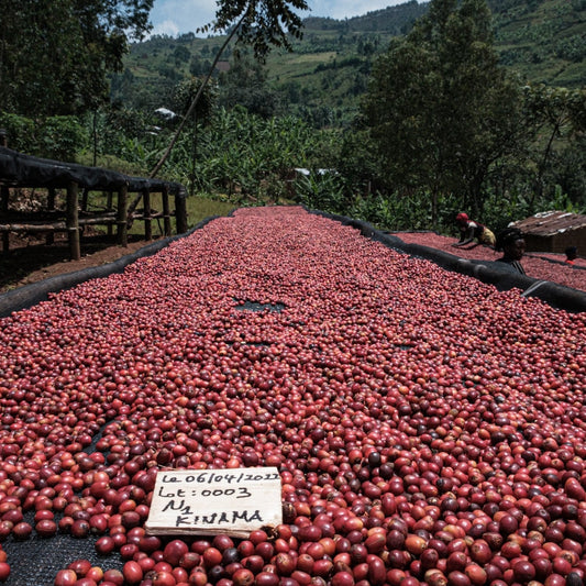 Burundi Kinama