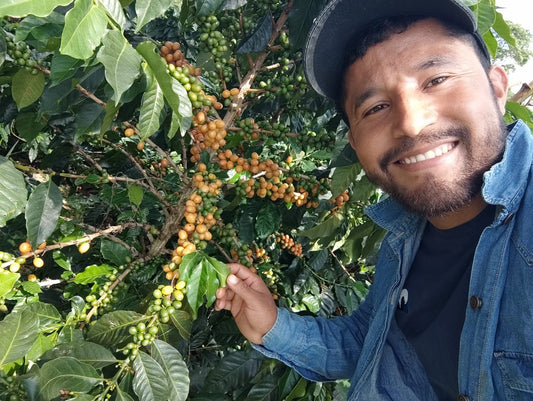 Colombia Edinson Argote Orange Bourbon