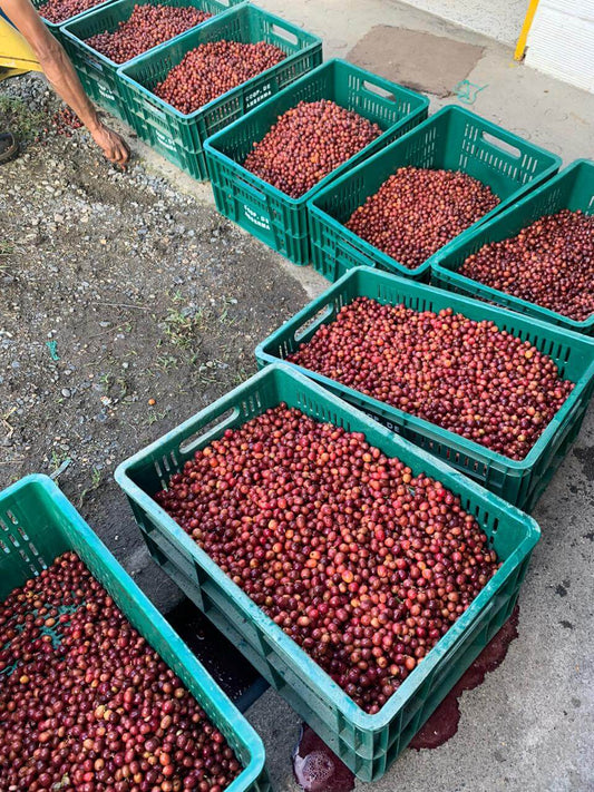 Colombia Santa Ana Castillo