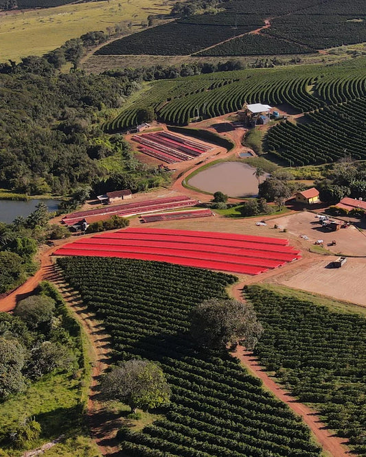 Brazil Alta Mogiana