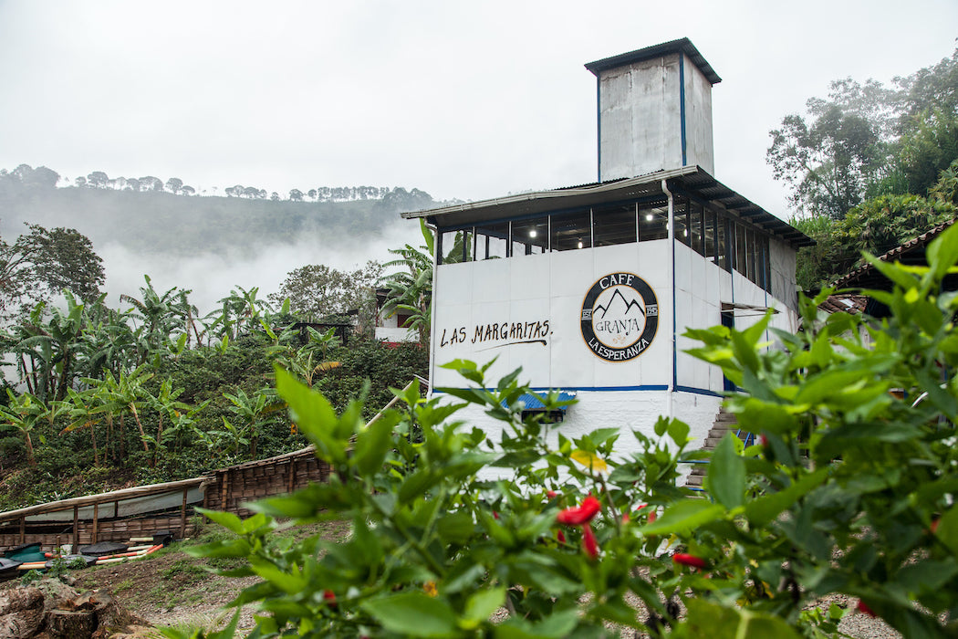 Cafe Granja La Esperanza Mandela